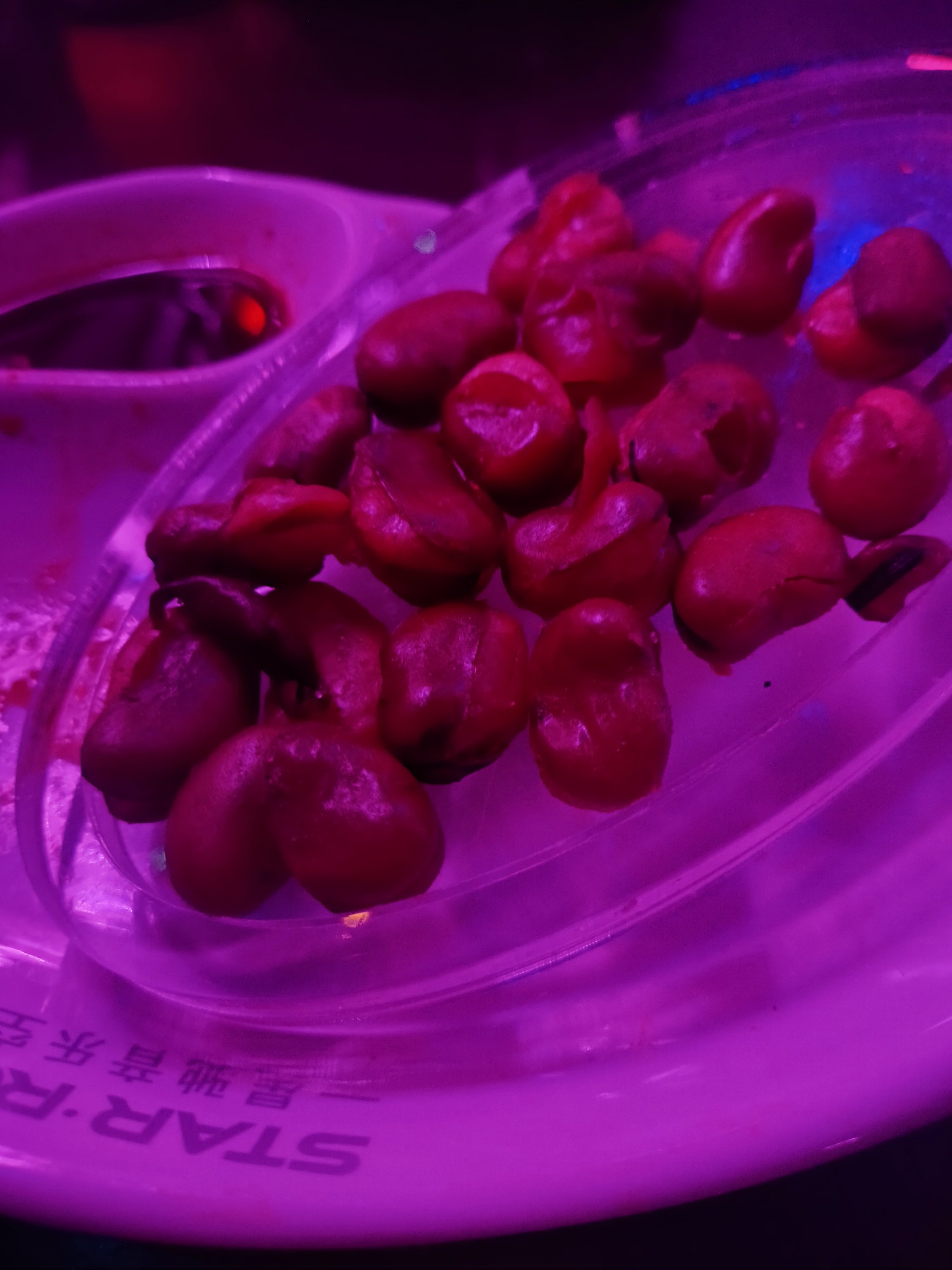 长春商务ktv优质场所商务ktv预订指南-绿园区ktv预订